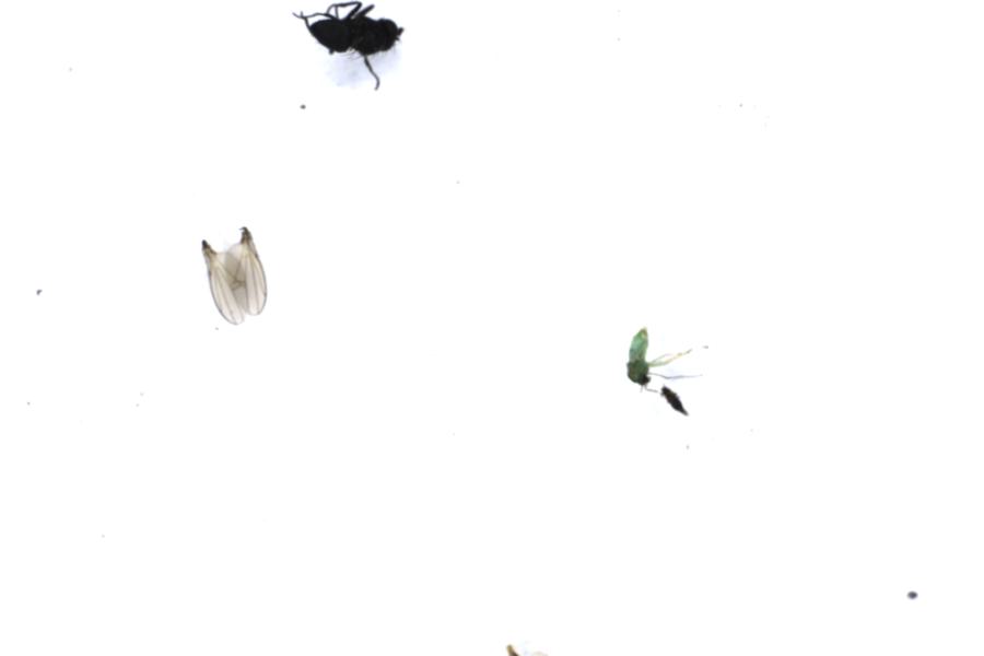 Image 8